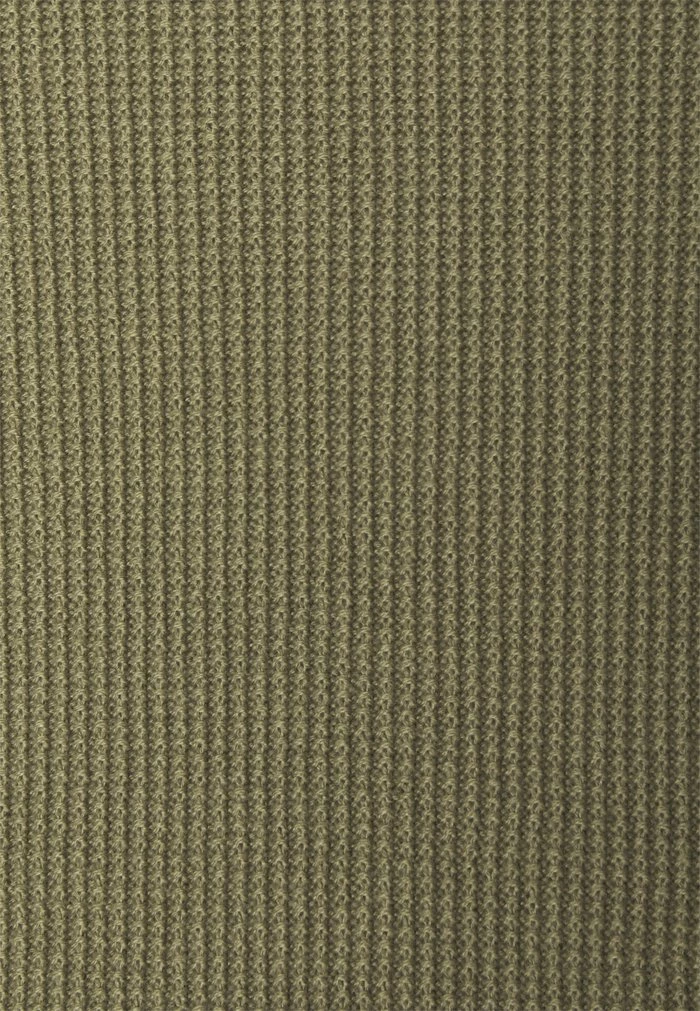 BEAR PLUS - Jumper - dried herb