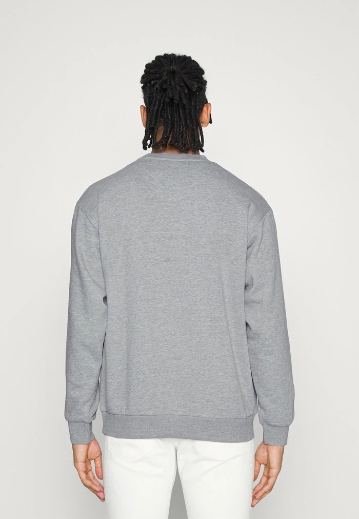 JARED UNISEX - Zip-up sweatshirt - light grey melange