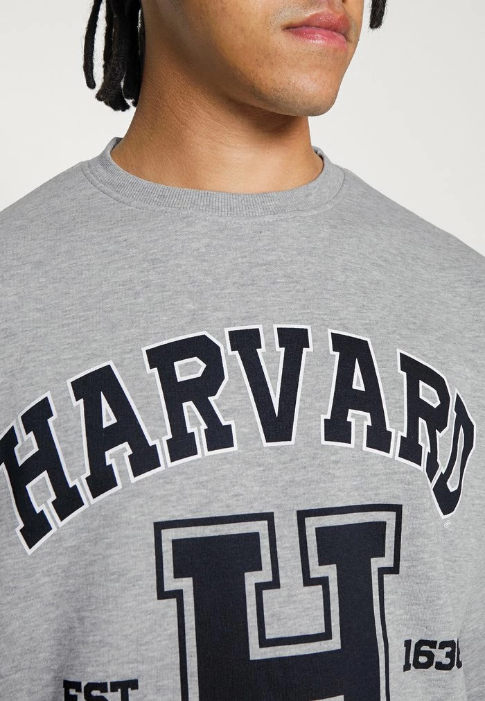 JARED UNISEX - Zip-up sweatshirt - light grey melange