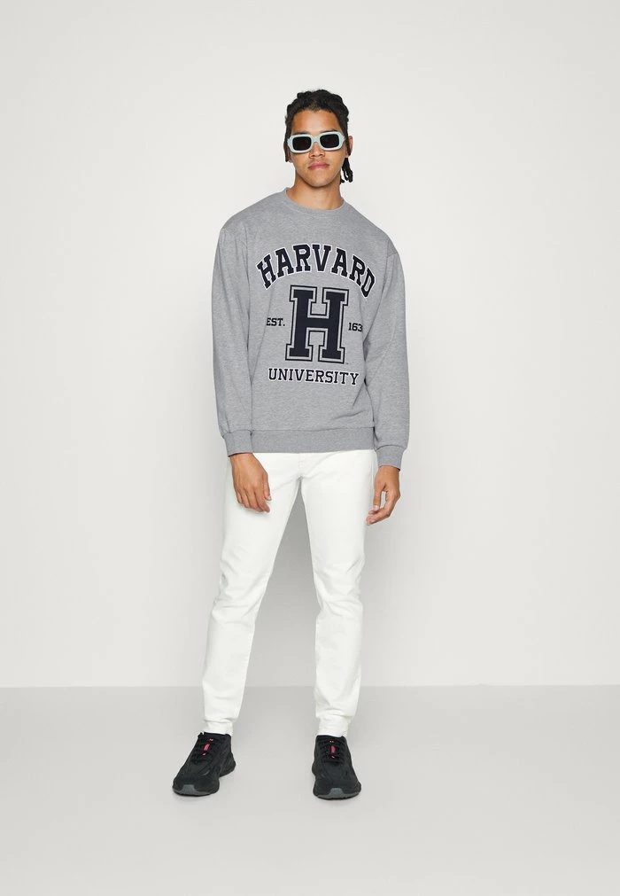 JARED UNISEX - Zip-up sweatshirt - light grey melange