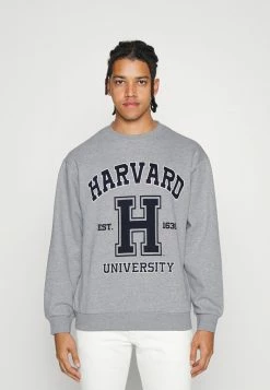 Redefined Rebel JARED UNISEX - Zip-up Sweatshirt - Light Grey Melange