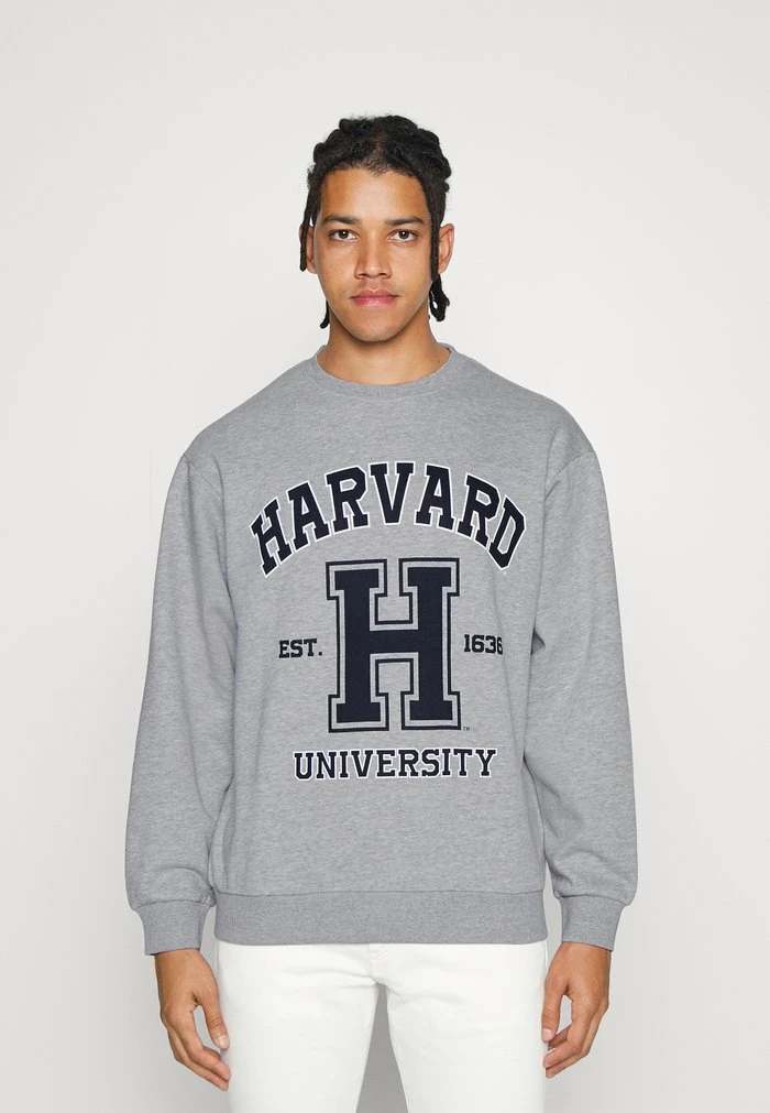 JARED UNISEX - Zip-up sweatshirt - light grey melange