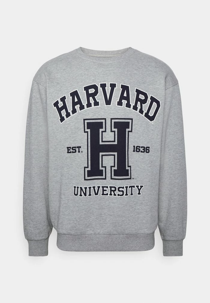 JARED UNISEX - Zip-up sweatshirt - light grey melange