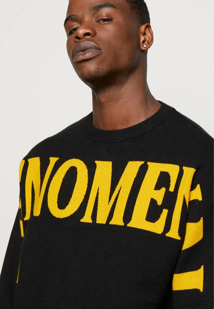 JANU - Jumper - black