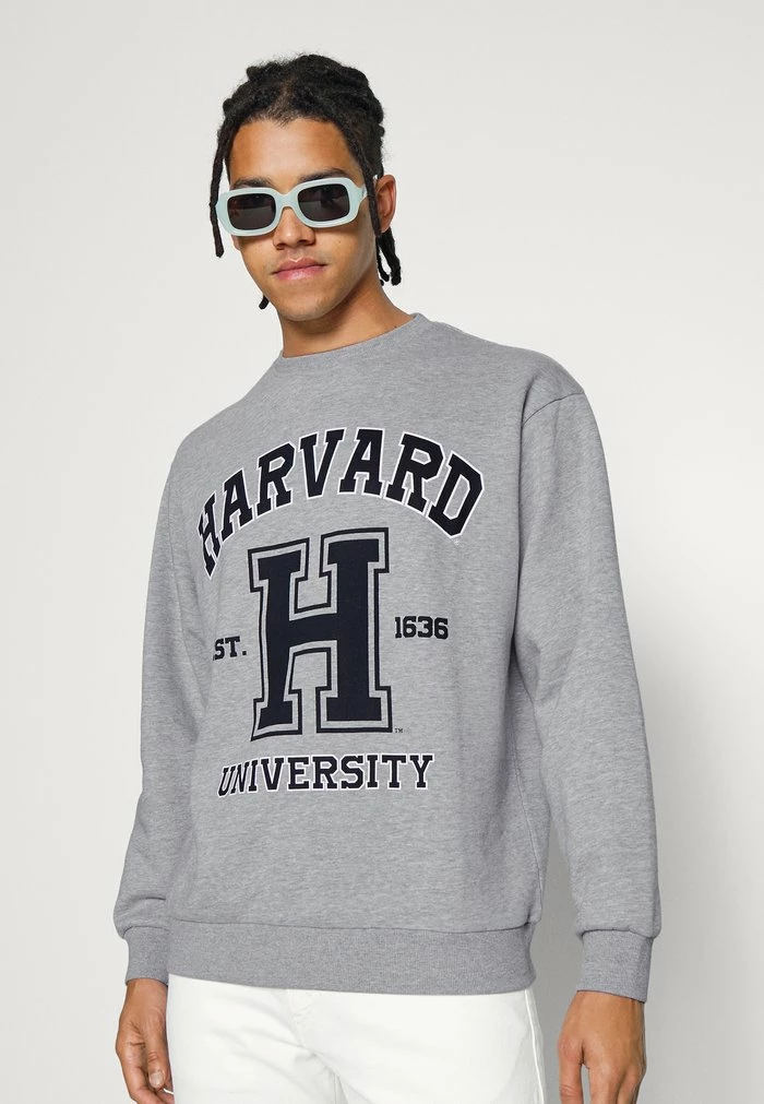 JARED UNISEX - Zip-up sweatshirt - light grey melange